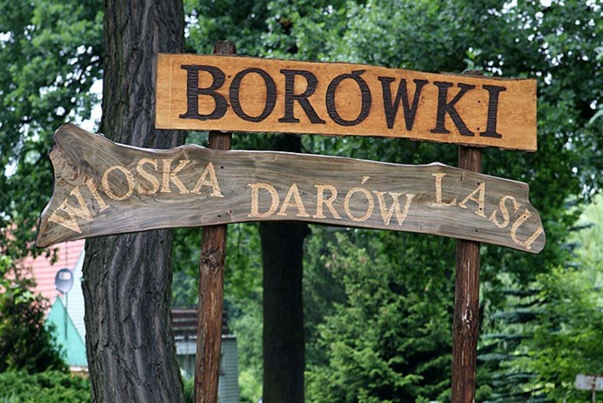 Borówki - Wioska Darów Lasu